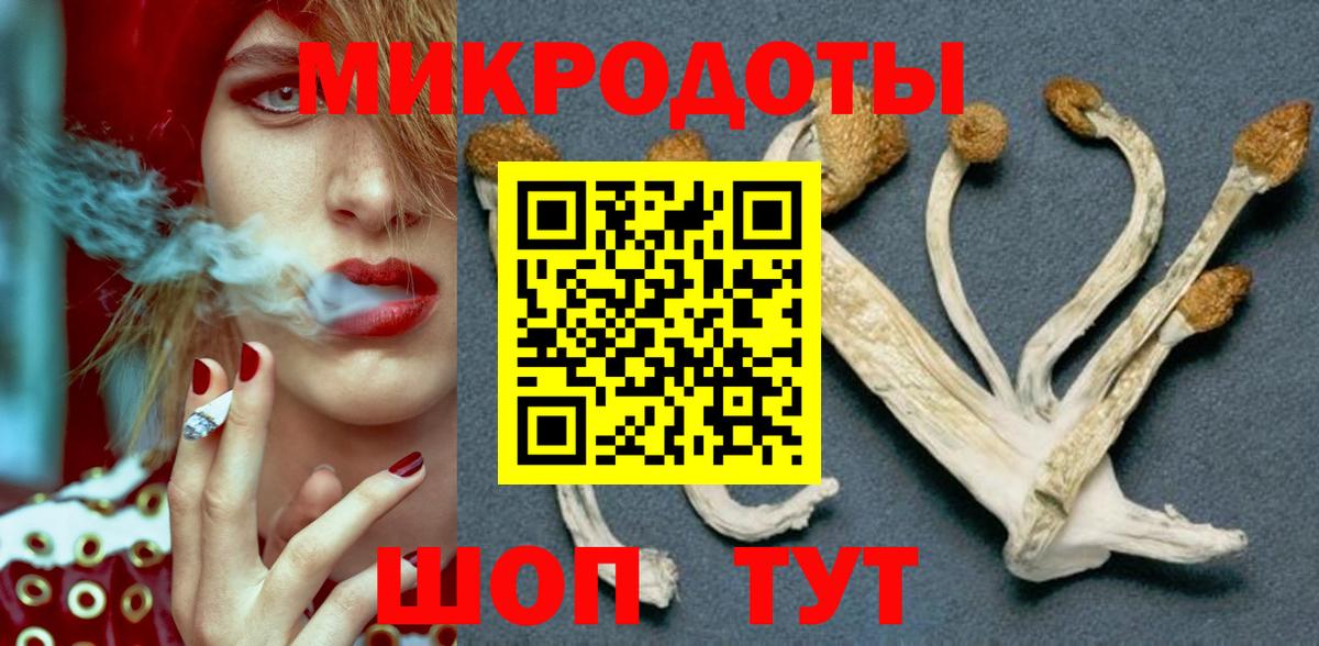 Псилоцибиновые грибы MAGIC MUSHROOMS  Псилоцибиновые грибы GOLDEN TEACHER  Новороссийск  где купить наркоту  Вход с VPN 